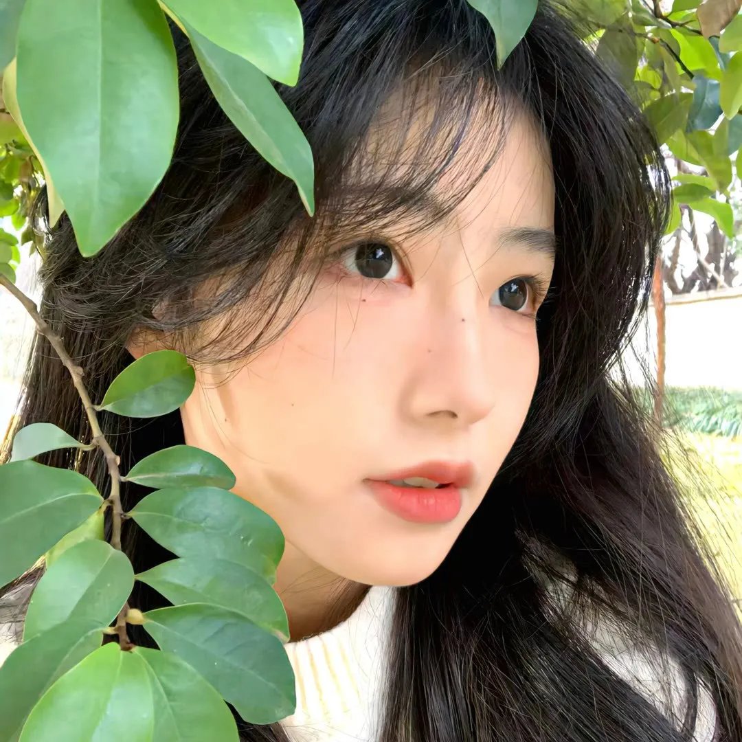 沉香如屑·沉香重华